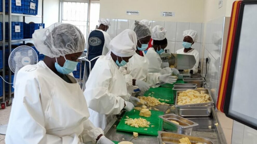 WhatsApp_Image_2026-02-19_at_09