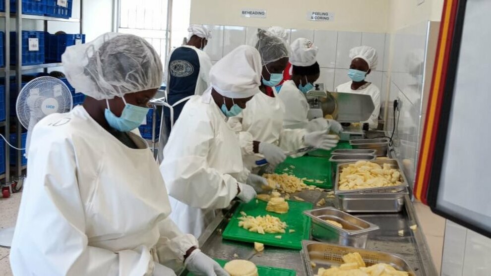 WhatsApp_Image_2026-02-19_at_09